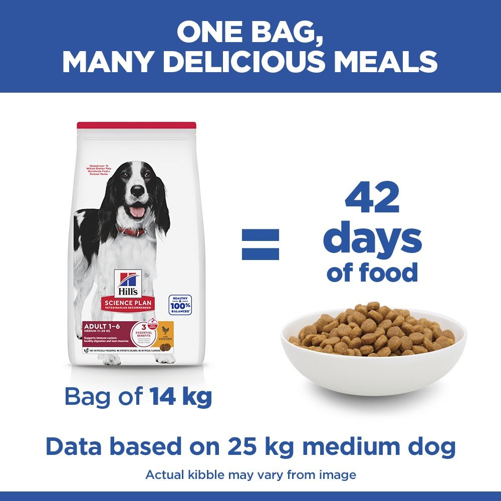 Hill's Science Plan Medium Adult 1-6 Dry Dog Food - Chicken
