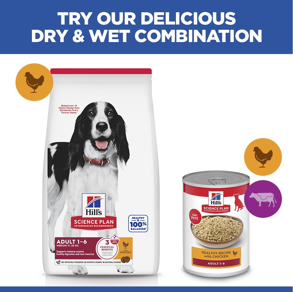 Hill's Science Plan Medium Adult 1-6 Dry Dog Food - Chicken