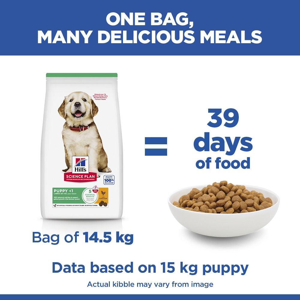 Hill's Science Plan Large Puppy Dry Dog Food - Chicken