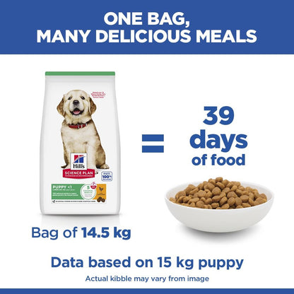 Hill's Science Plan Large Puppy Dry Dog Food - Chicken