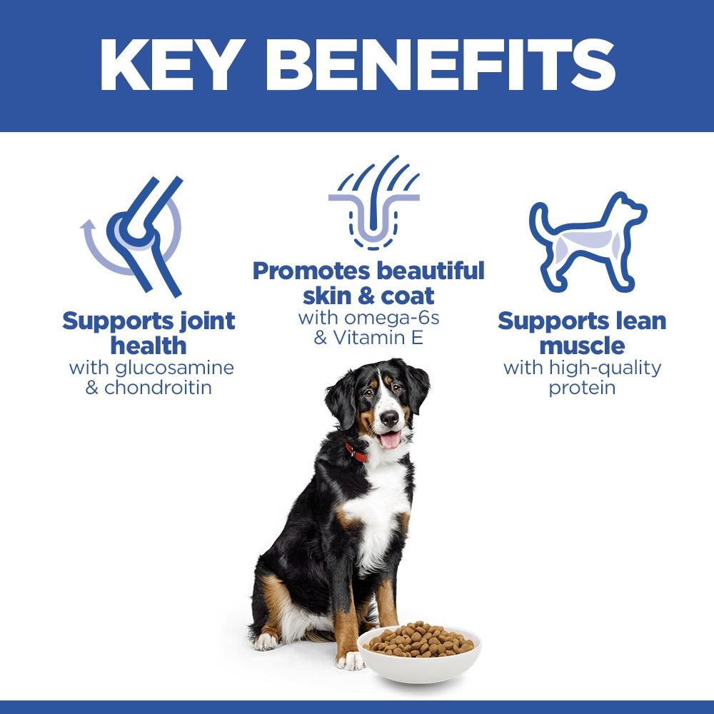 Hill's Science Plan Large Adult 1-5 Dry Dog Food - Chicken