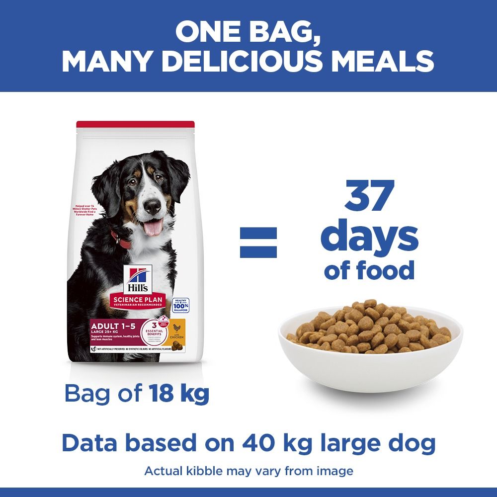 Hill's Science Plan Large Adult 1-5 Dry Dog Food - Chicken