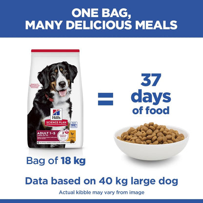 Hill's Science Plan Large Adult 1-5 Dry Dog Food - Chicken