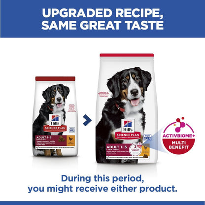 Hill's Science Plan Large Adult 1-5 Dry Dog Food - Chicken