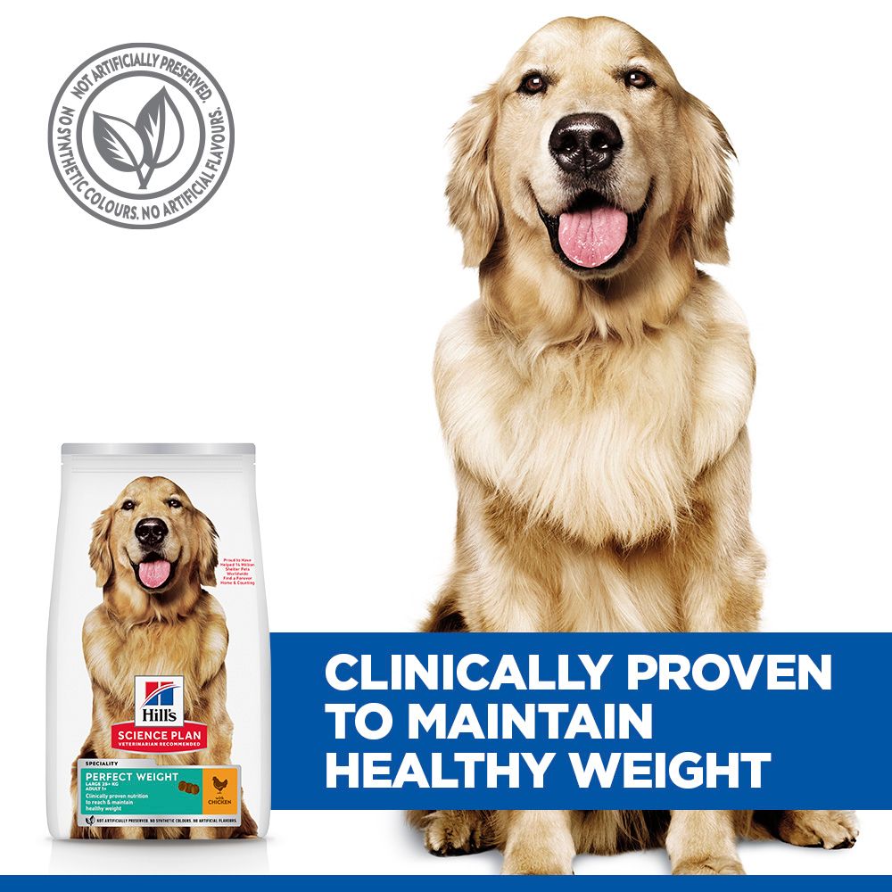 Hill's Science Plan Perfect Weight Large Adult 1+ Dry Dog Food - Chicken