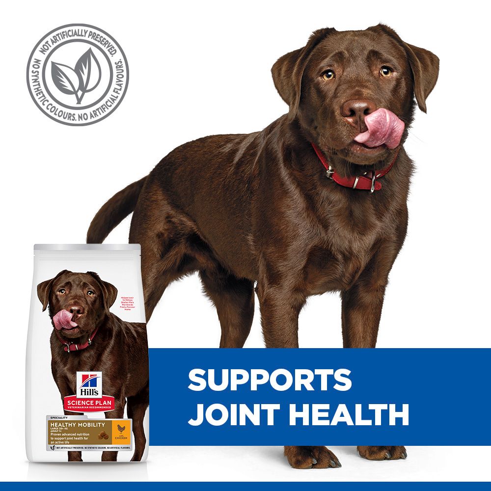 Hill's Science Plan Healthy Mobility Large Adult 1+ Dry Dog Food - Chicken