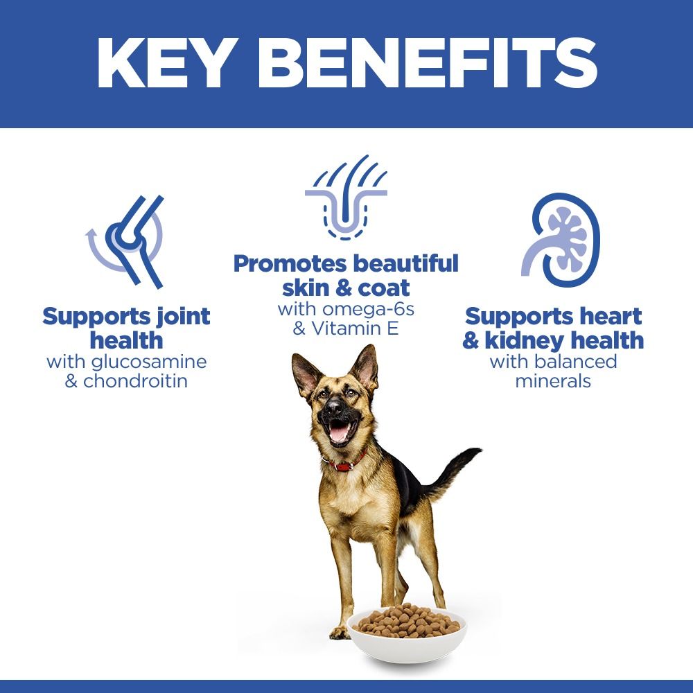Hill's Science Plan Large Mature Adult 6+ Dry Dog Food - Chicken