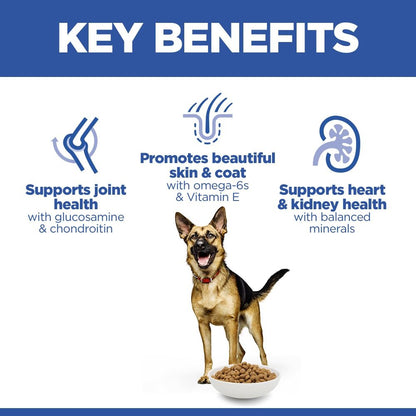 Hill's Science Plan Large Mature Adult 6+ Dry Dog Food - Chicken