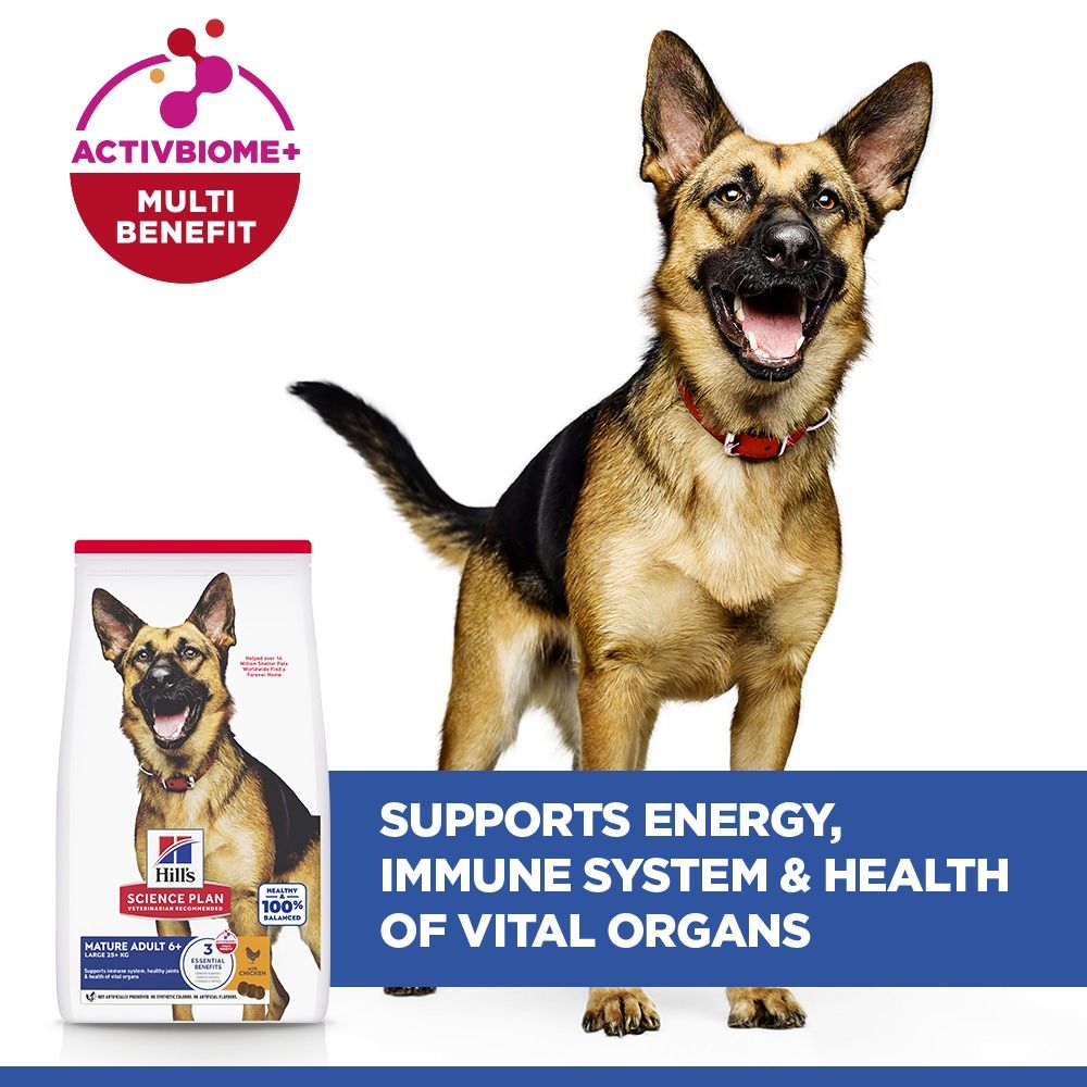 Hill's Science Plan Large Mature Adult 6+ Dry Dog Food - Chicken