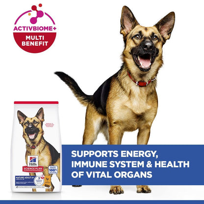 Hill's Science Plan Large Mature Adult 6+ Dry Dog Food - Chicken