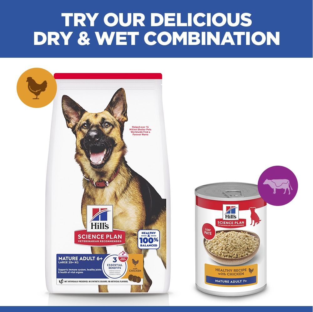 Hill's Science Plan Large Mature Adult 6+ Dry Dog Food - Chicken