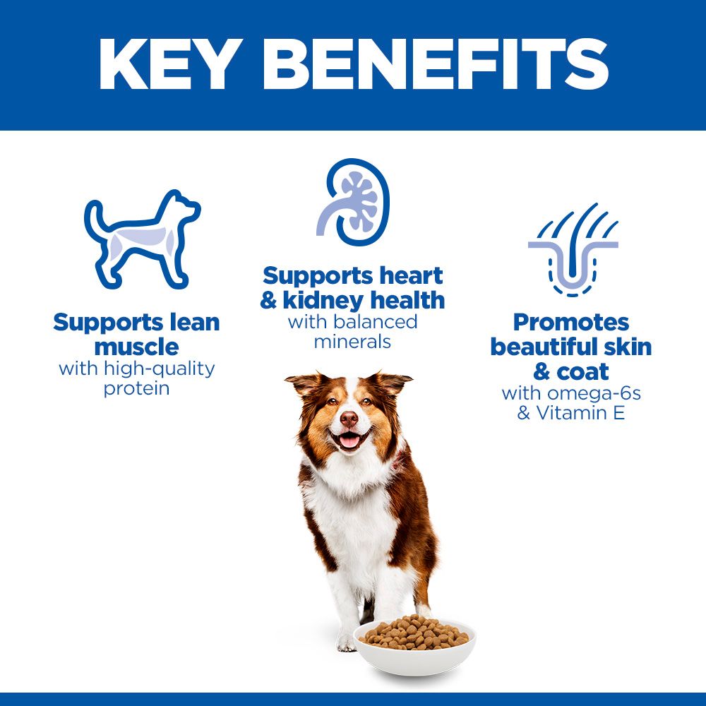 Hill's Science Plan Medium Mature Adult 7+ Dry Dog Food - Chicken