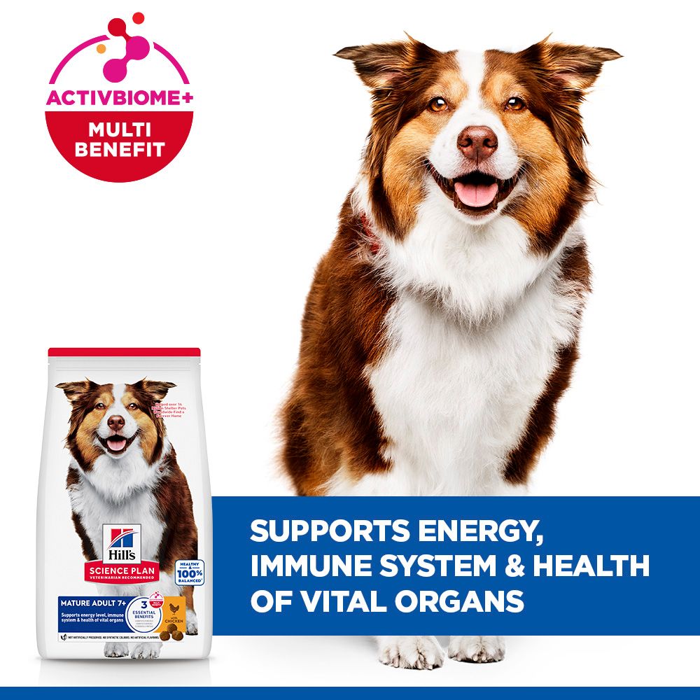 Hill's Science Plan Medium Mature Adult 7+ Dry Dog Food - Chicken