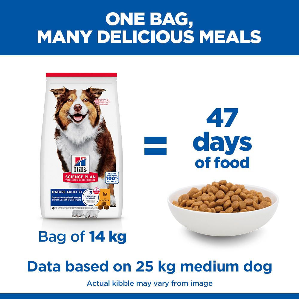 Hill's Science Plan Medium Mature Adult 7+ Dry Dog Food - Chicken