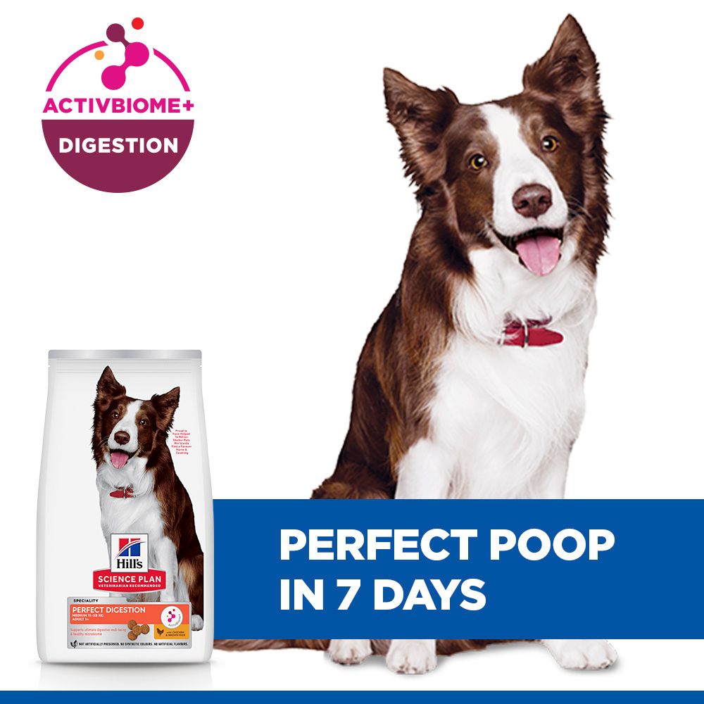 Hill's Science Plan Perfect Digestion Medium Adult 1+ Dry Dog Food - Chicken & Brown Rice