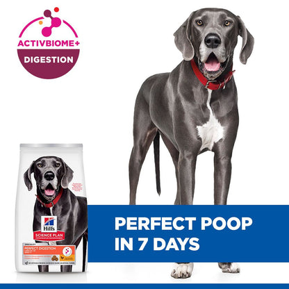 Hill's Science Plan Perfect Digestion Large Breed Adult 1+ Dry Dog Food - Chicken & Brown Rice