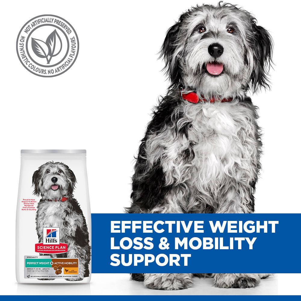 Hill's Science Plan Perfect Weight & Active Mobility Medium Adult Dry Dog Food - Chicken