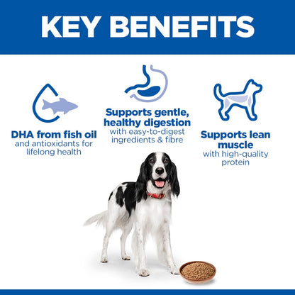 Hill's Science Plan Canine Adult Wet Dog Food - Chicken