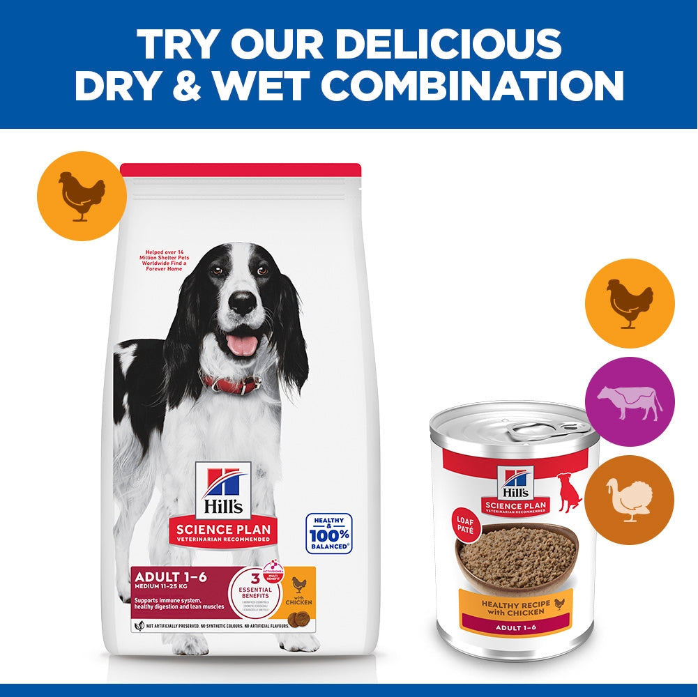 Hill's Science Plan Canine Adult Wet Dog Food - Chicken