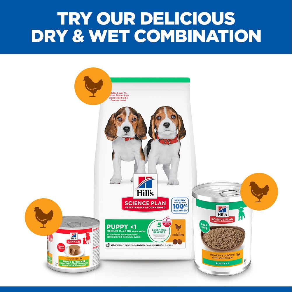 Hill's Science Plan Puppy Wet Dog Food - Chicken