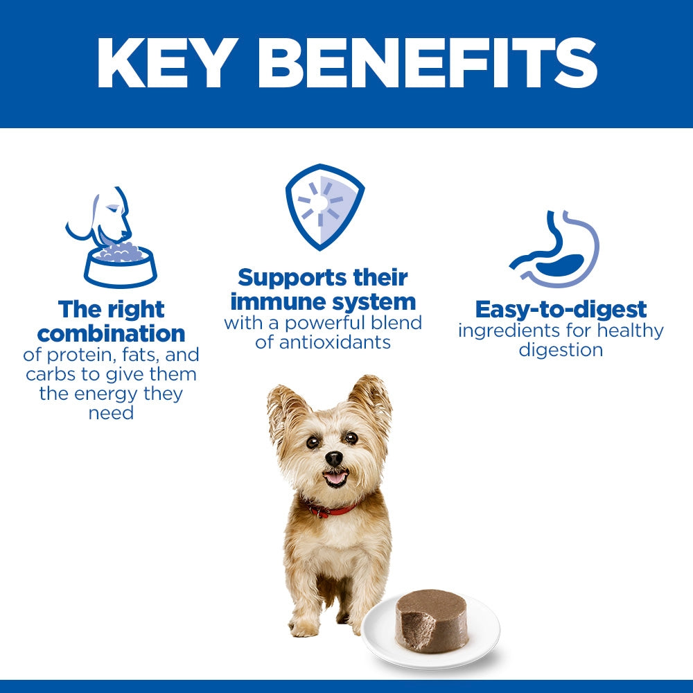 Hill's Science Plan Small & Mini Adult Wet Dog Food - Chicken