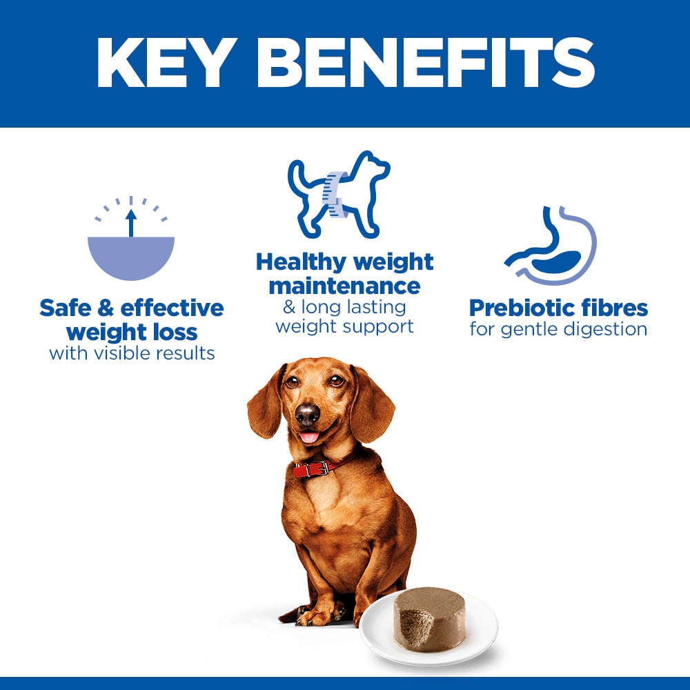 Hill's Science Plan Perfect Weight Adult Small & Mini Wet Dog Food - Turkey