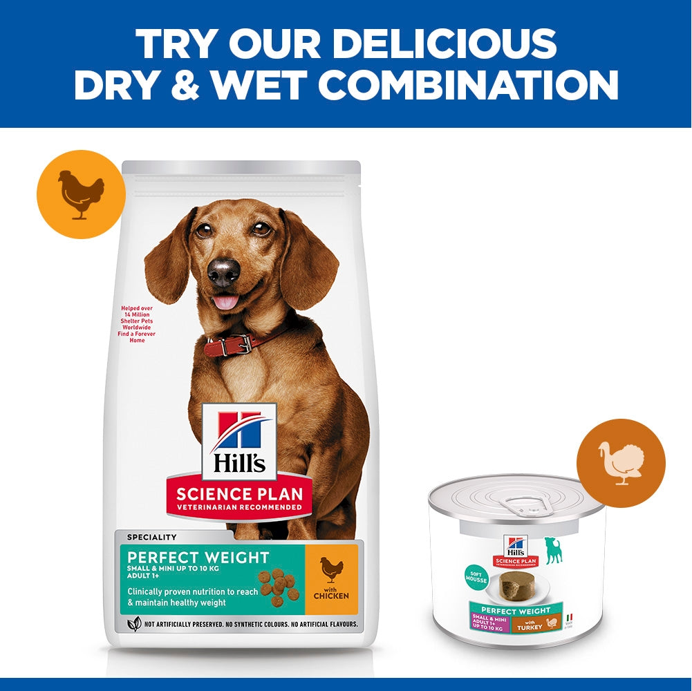 Hill's Science Plan Perfect Weight Adult Small & Mini Wet Dog Food - Turkey