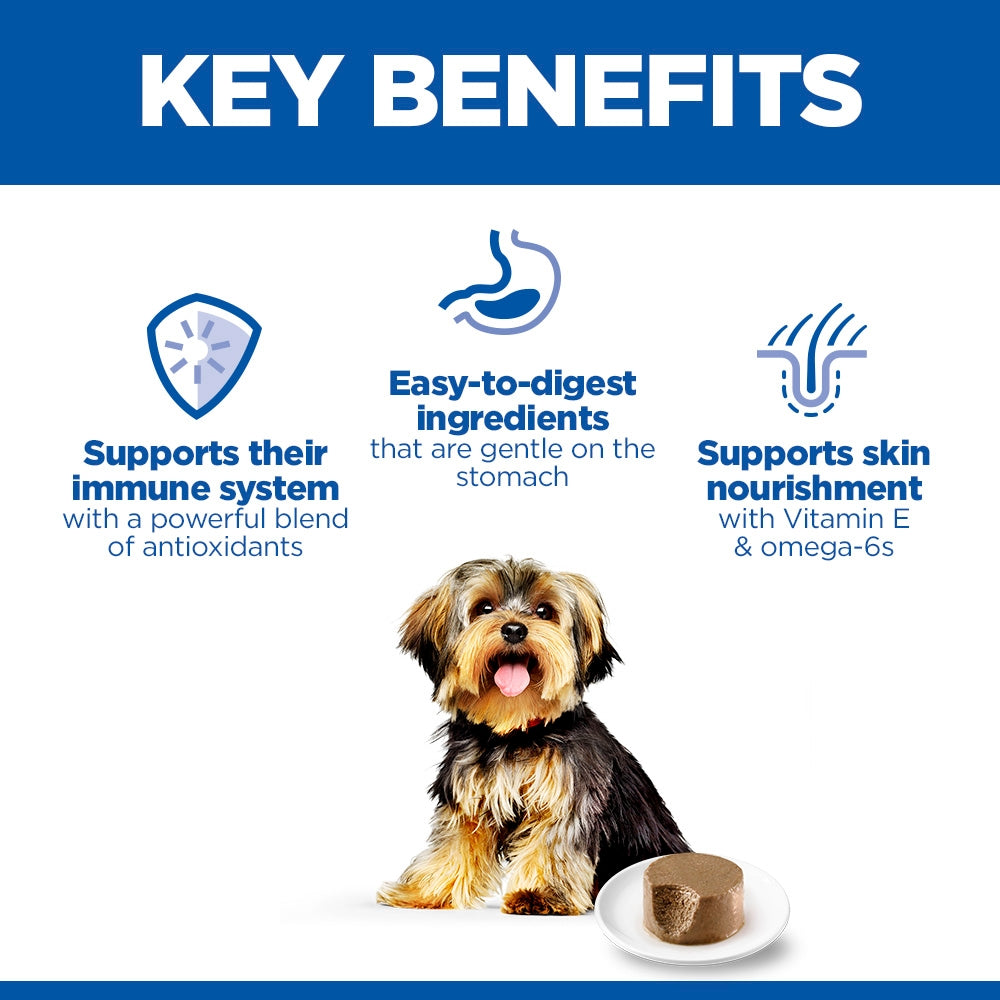 Hill's Science Plan Sensitive Stomach & Skin Small & Mini Adult Mousse with Turkey Wet Dog Food