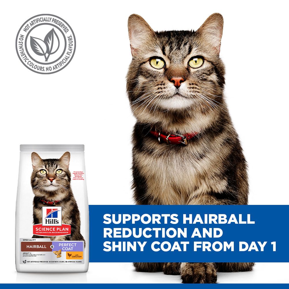 Hill's Science Plan Hairball & Perfect Coat Adult Dry Cat Food - Chicken