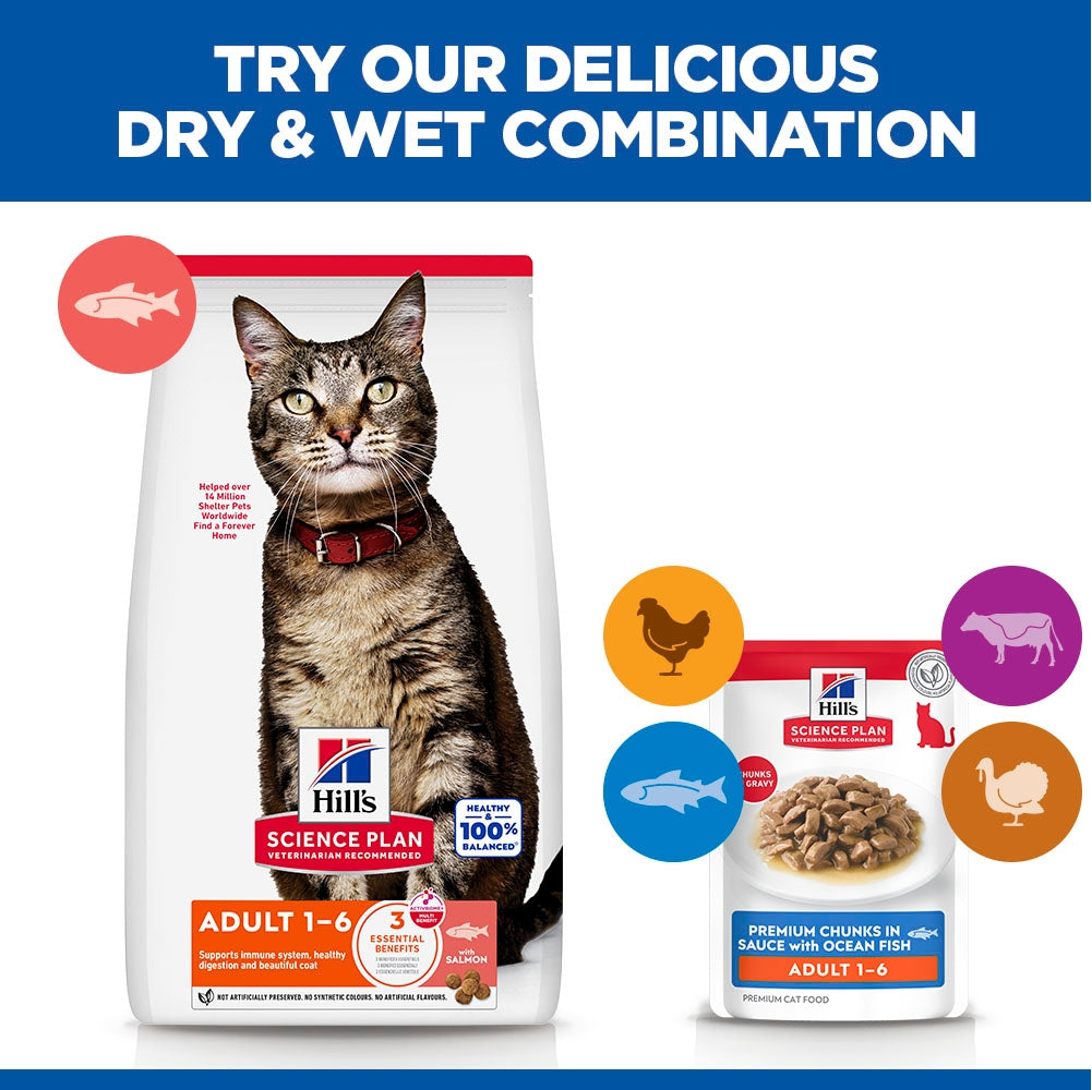 Hill's Science Plan Adult Wet Cat Food Premium Chunks in Sauce with Ocean Fish
