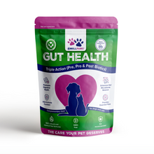 WellPaws Gut Health Triple Action Chewable Supplement for Dogs & Cats