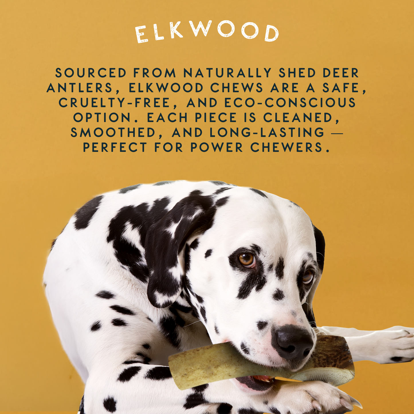 Elkwood 100% Natural Split Antler Chew | Medium