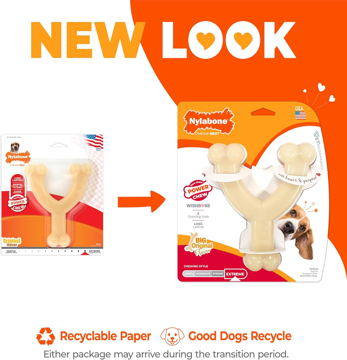 Nylabone Dura Chew Chicken Flavour Wishbone