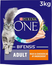 Purina ONE Adult Dry Cat Food - Chicken & Whole Grains