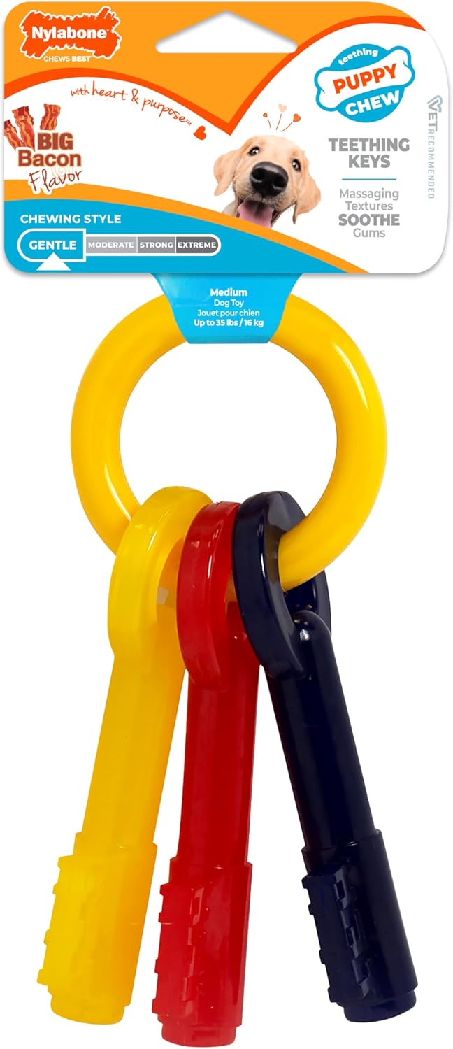 Nylabone Puppy Teething Keys Dog Toy