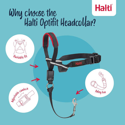 Halti Train Optifit Black