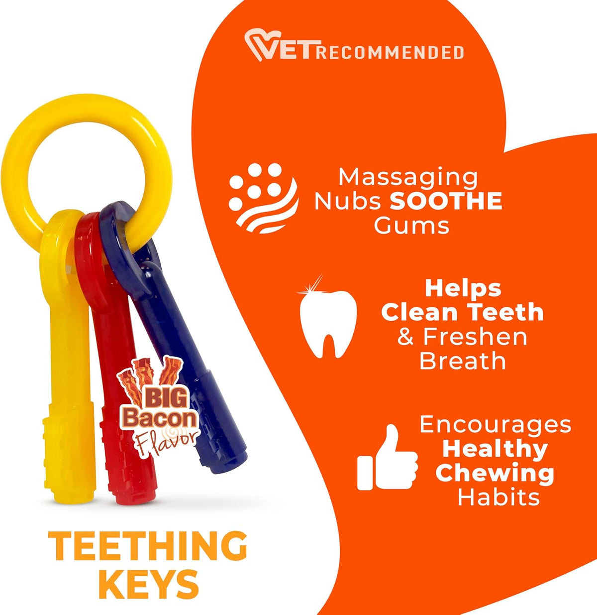 Nylabone Puppy Teething Keys Dog Toy