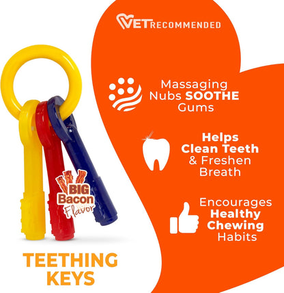 Nylabone Puppy Teething Keys Dog Toy
