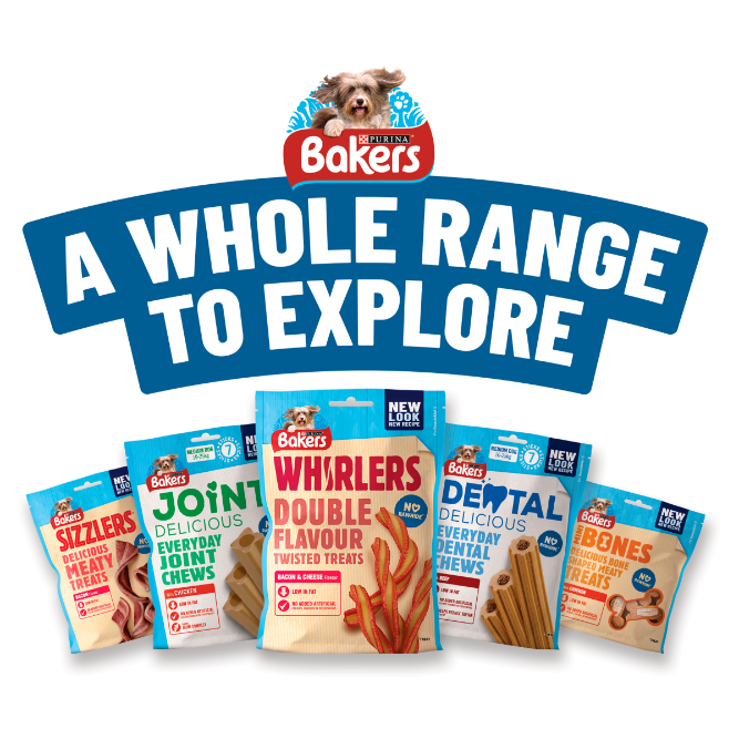 Bakers Rewards Mixed Variety Dog Treats with Beef, Chicken & Lamb - 100g