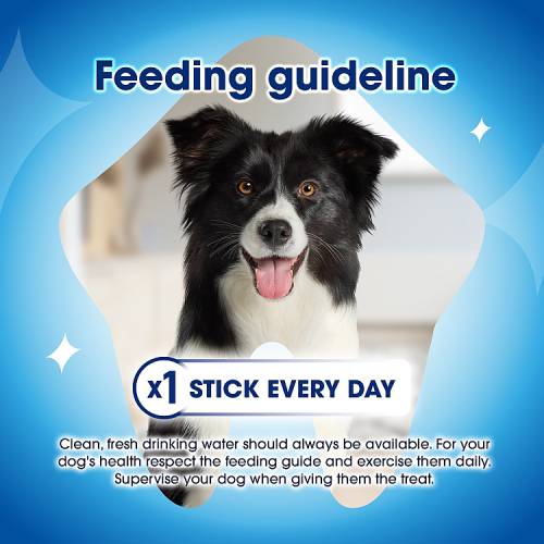 DENTALIFE Large Dental Chicken Dog Chews 4 Sticks