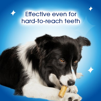 DENTALIFE Small Dental Chicken Dog Chews 7 Sticks