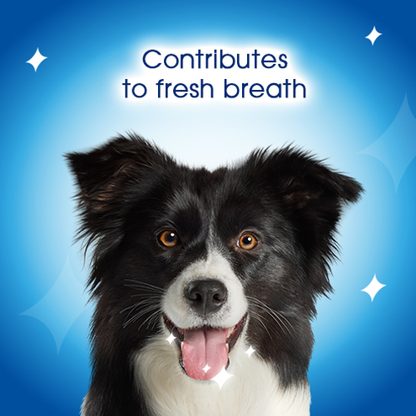 DENTALIFE Small Dental Chicken Dog Chews 7 Sticks