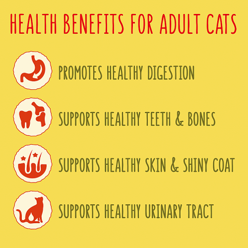 GO-CAT Chicken and Duck Dry Cat Food