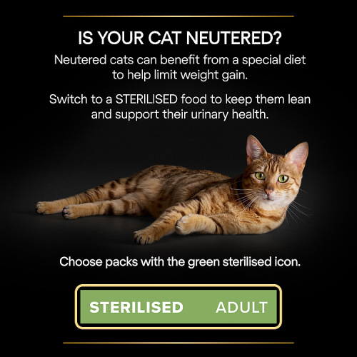 PRO PLAN Sterilised Vital Functions Salmon Dry Cat Food