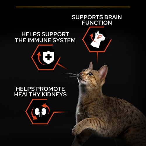 PRO PLAN Sterilised Vital Functions Salmon Dry Cat Food