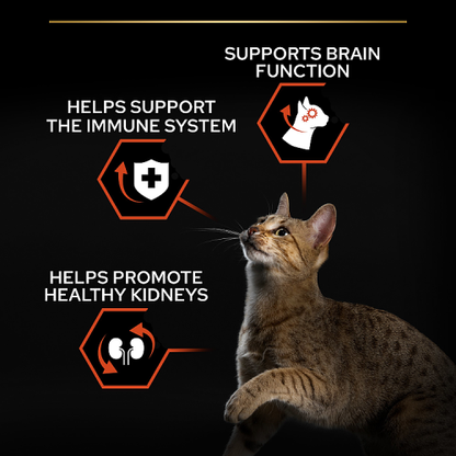PRO PLAN Sterilised Vital Functions Salmon Dry Cat Food