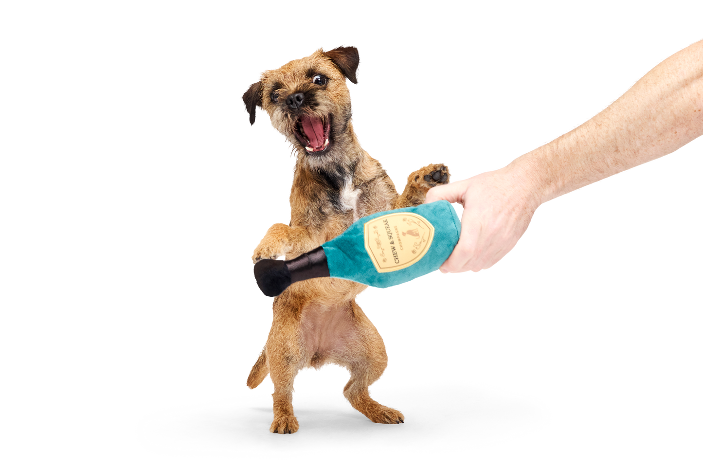 BARK X Crufts Winner's Chompagne Dog Toy