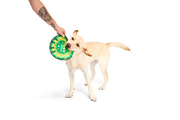 BARK X Crufts Throwsette Disc Dog Toy