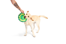 BARK X Crufts Throwsette Disc Dog Toy