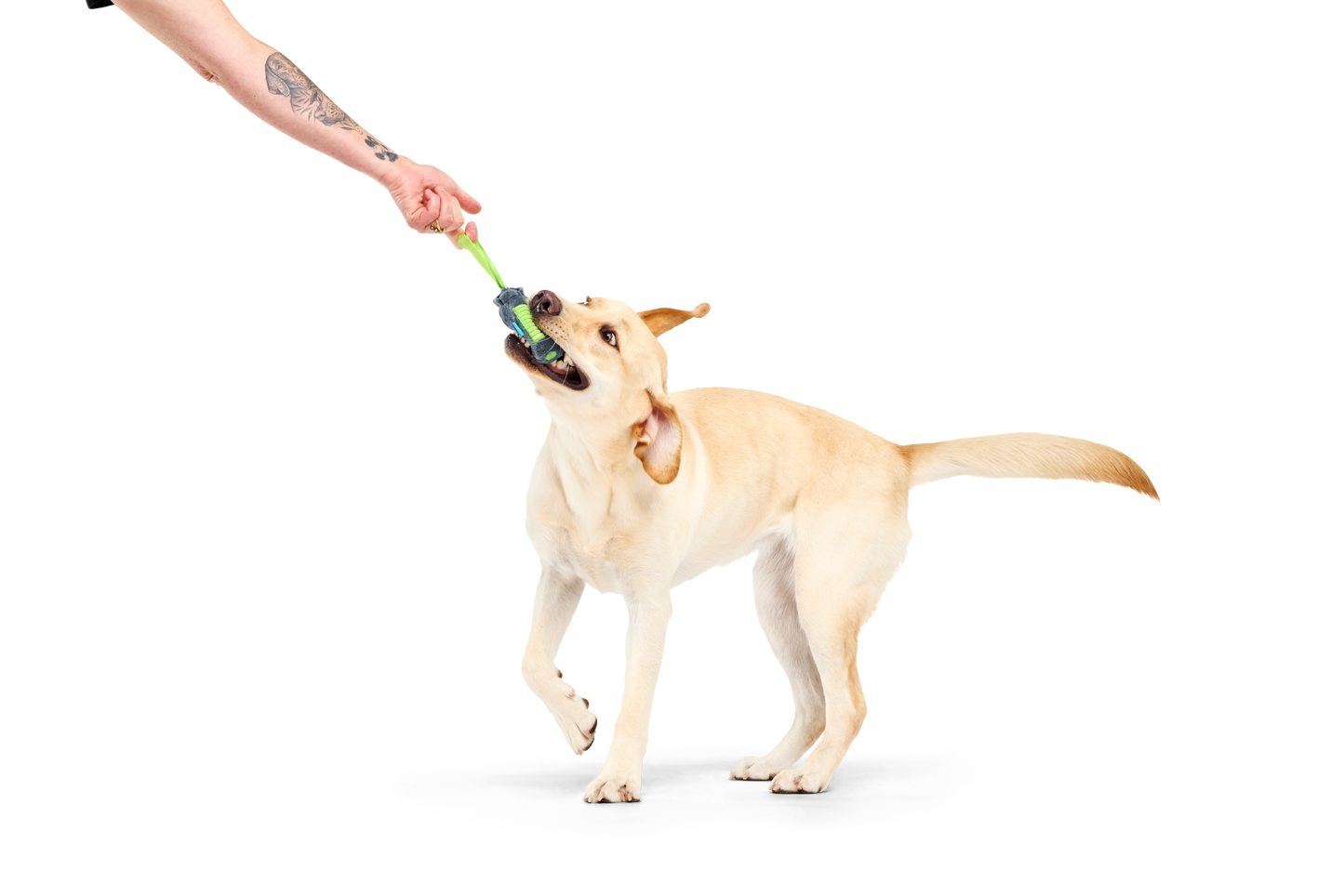 BARK X Crufts Personal Beast Play Timer Dog Toy